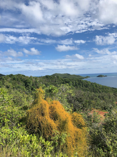 blick ueber martinique von der halbinsel caravelle