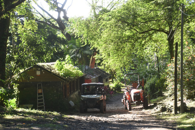 Straße mit Kopfsteinpflaster und Huetten auf der Plantage Habitation Céron, Martinique